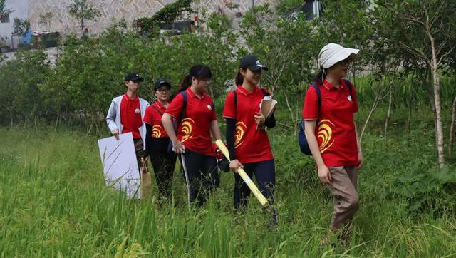 历时7年试验,集美大学【蚝壳惠民】酸化土壤改良慕课即将上线